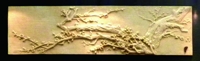 B0033五福花A