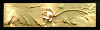 B0033五福花B
