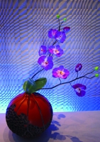 G0049中国荷花插